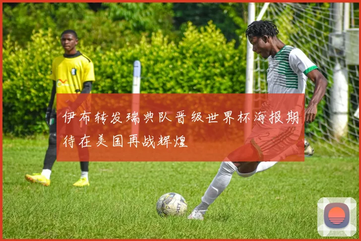 伊布转发瑞典队晋级世界杯海报期待在美国再战辉煌