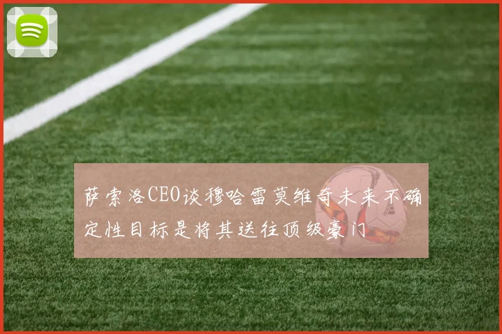 萨索洛CEO谈穆哈雷莫维奇未来不确定性目标是将其送往顶级豪门