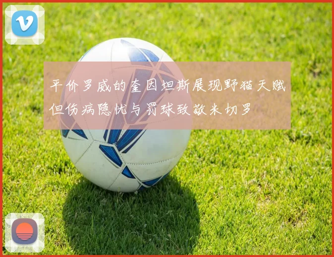 平价罗威的奎因坦斯展现野猫天赋但伤病隐忧与罚球致敬米切罗
